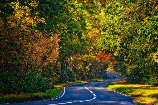 The Winding Road Poster