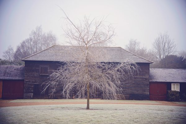 Frosted Tree on a Foggy Morning Poster
