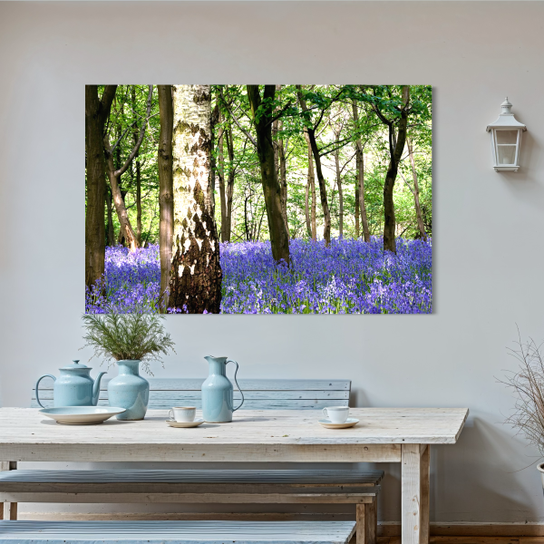 Blue Bells and Silver Birch Poster