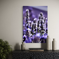 Lavender 4 Poster