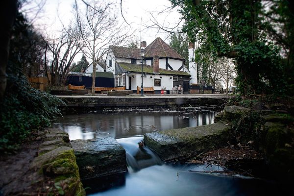 The Fighting Cocks by the Water Poster